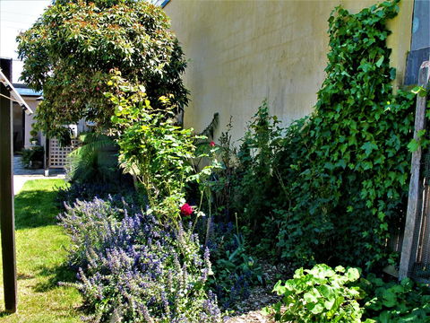 Apple Tree Cottage - LBG 24