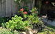 Apple Tree Cottage - thumb 26