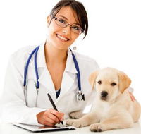 HIGHLANDS VETERINARY GROUP - LBG