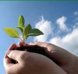 Vital Spirit Natural Health - LBG