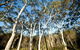 Bush & Bay Cottage - thumb 28