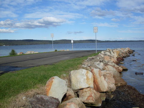 Bush & Bay Cottage - LBG 5