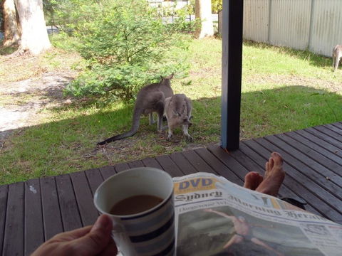 Bush & Bay Cottage - LBG 29