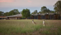 Wildman Wilderness Lodge
