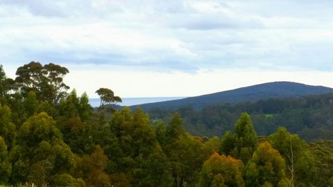 Karri Aura - LBG 10