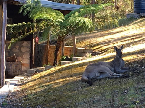 Kangaroo Valley Cottage - LBG 3