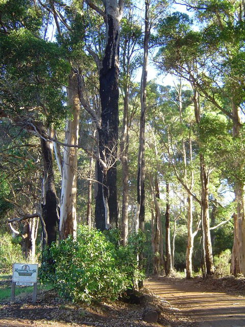 Kangaroo Valley Cottage - LBG 21