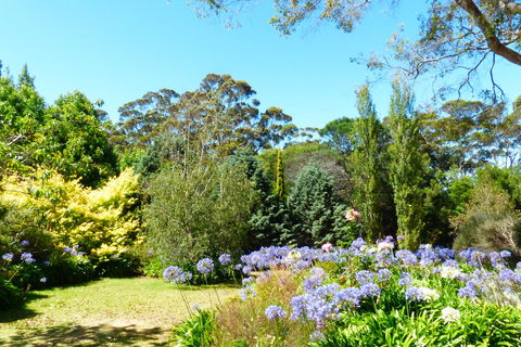 Innisfree Mountain Retreat - LBG 1