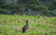 Celestine Retreat - thumb 16
