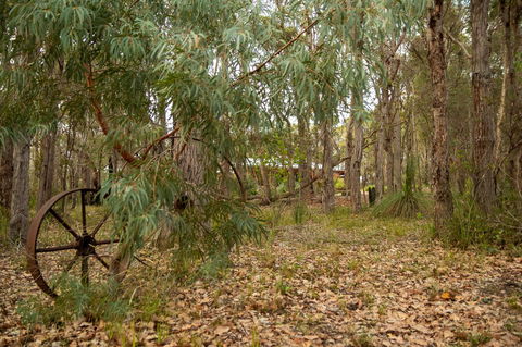 Denmark Forest Retreat - LBG 5