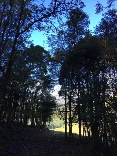 Manna Hill Farm - LBG 27