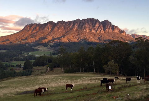Manna Hill Farm - LBG 10