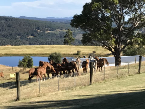 Highgrove - LBG 25