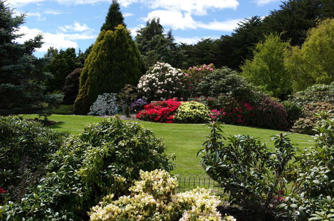 Highgrove - LBG 18