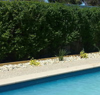 Robinvale Bridge Motel - LBG