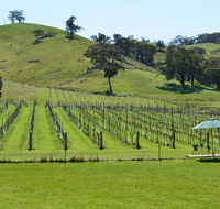 Blue House at Mountainside Wines - LBG