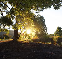 Clarendon Forest Retreat - LBG