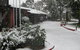 Cottonwood Lodge - thumb 0