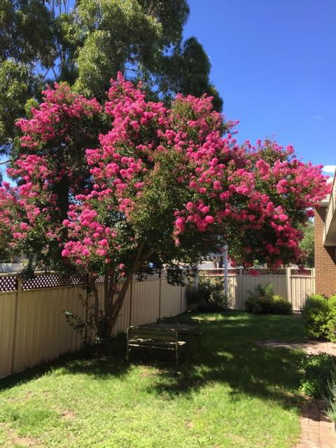 Eaglehawk Motel - LBG 3