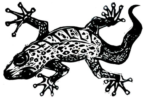 Gecko Guest House - LBG 3
