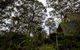 Green Leaves Cabin - thumb 0
