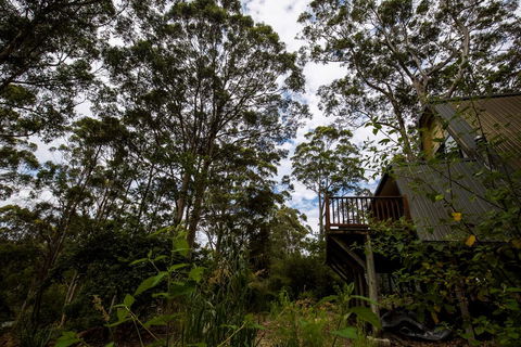 Green Leaves Cabin - LBG 0