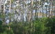 Honeymoon View - thumb 2