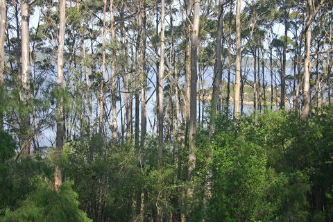 Honeymoon View - LBG 2