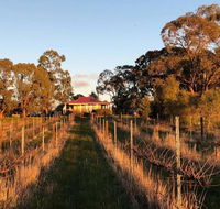 Lillicur Vineyard BB - LBG