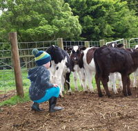 Manderley Park Farmstay BB - LBG