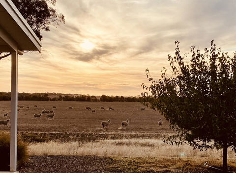 Mary's Farm Cottages - LBG 2