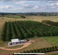 Millthorpe Truffles - Gorgeous getaway for 2 - LBG