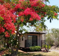 Mt Larcom Tourist Park - LBG