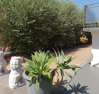 Mt.Lawley superb 2 BR Apartment Ideally located 5 - LBG