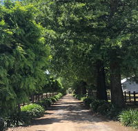 Oak Lane Guest House  Farm Stay - LBG