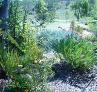 Old Miners' Cottages Bed and Breakfast - LBG