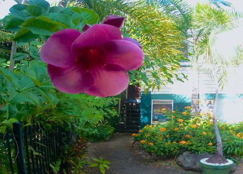 Paradise Travellers Rest - LBG 1