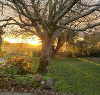 Peg Cottage - LBG