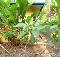 Rainforest Cottage Cairns - LBG