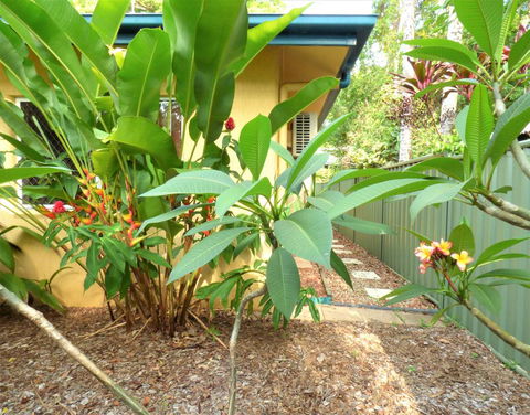 Rainforest Cottage Cairns - LBG 0