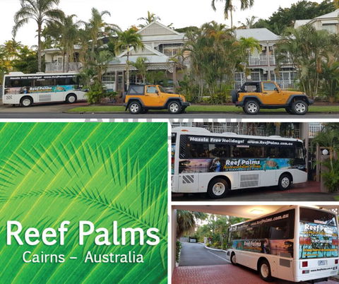 Reef Palms - LBG 1