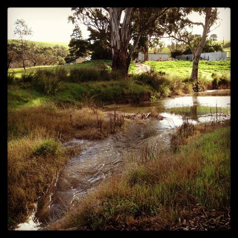 River Cottage Barossa -Self Contained-30 Acres-360 Degree Views-Netflix -Wine-Wifi - LBG 3
