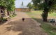 Rosendale Stables - thumb 2