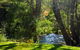 Russell Falls Holiday Cottages - thumb 2