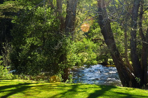 Russell Falls Holiday Cottages - LBG 2