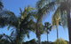 Terrigal Pacific Coastal Retreat - thumb 3