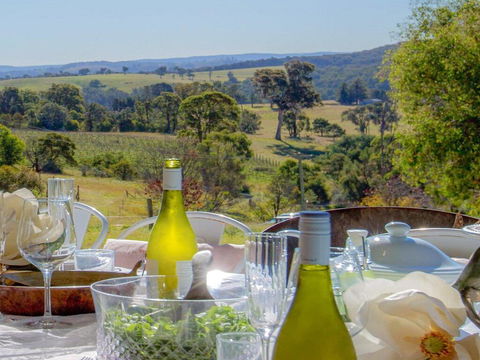 The Farmhouse - Grape Vines And Rolling Green Hills - LBG 0