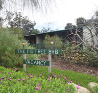 The Fig Tree BB - LBG