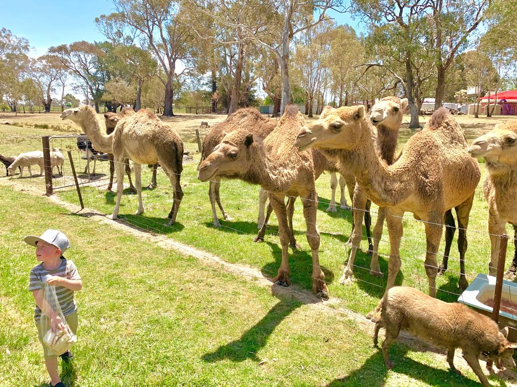 Tallwood NSW LBG