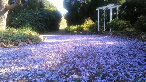 The Old Church Bed And Breakfast - LBG 2